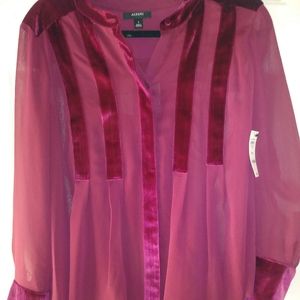 Womens Sz. Small Sheer/Velvet Top NWT